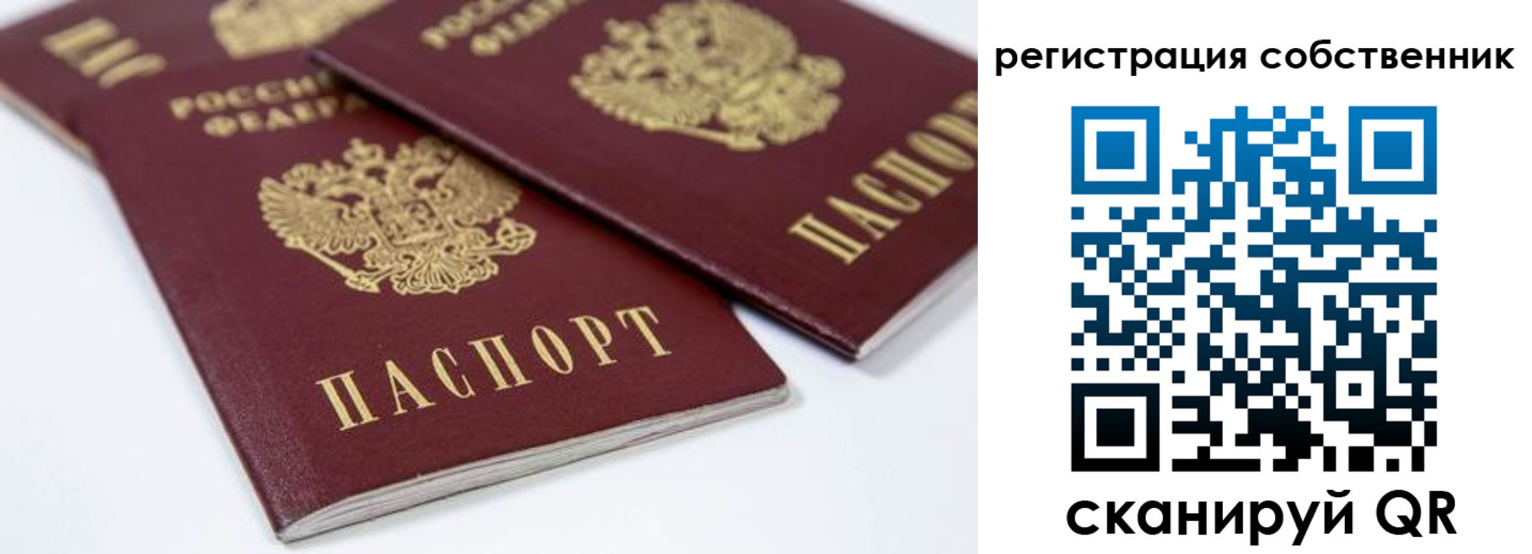 прописка для школы в Сураже